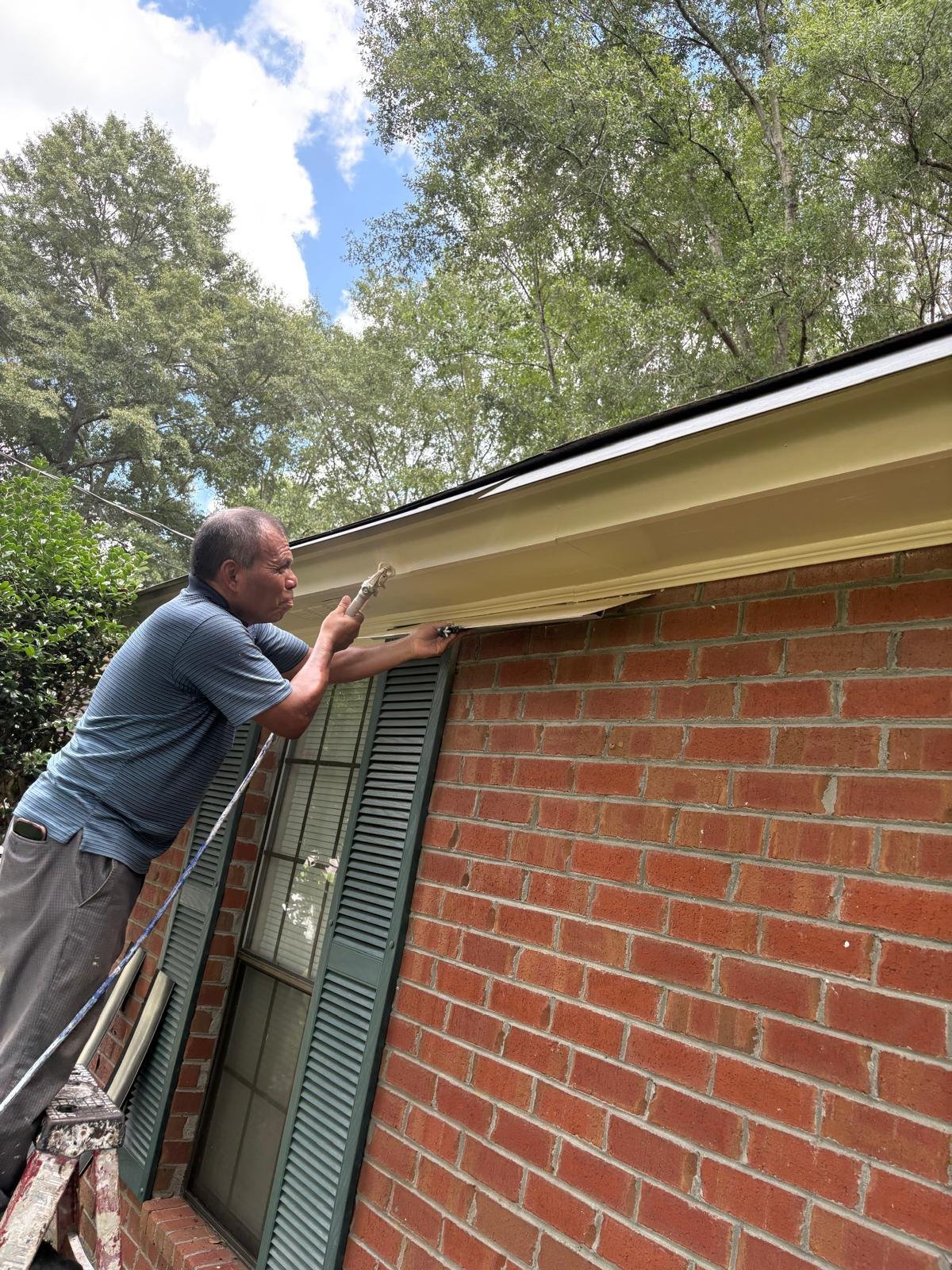 Painting services by Walfredo Lopez Contractor